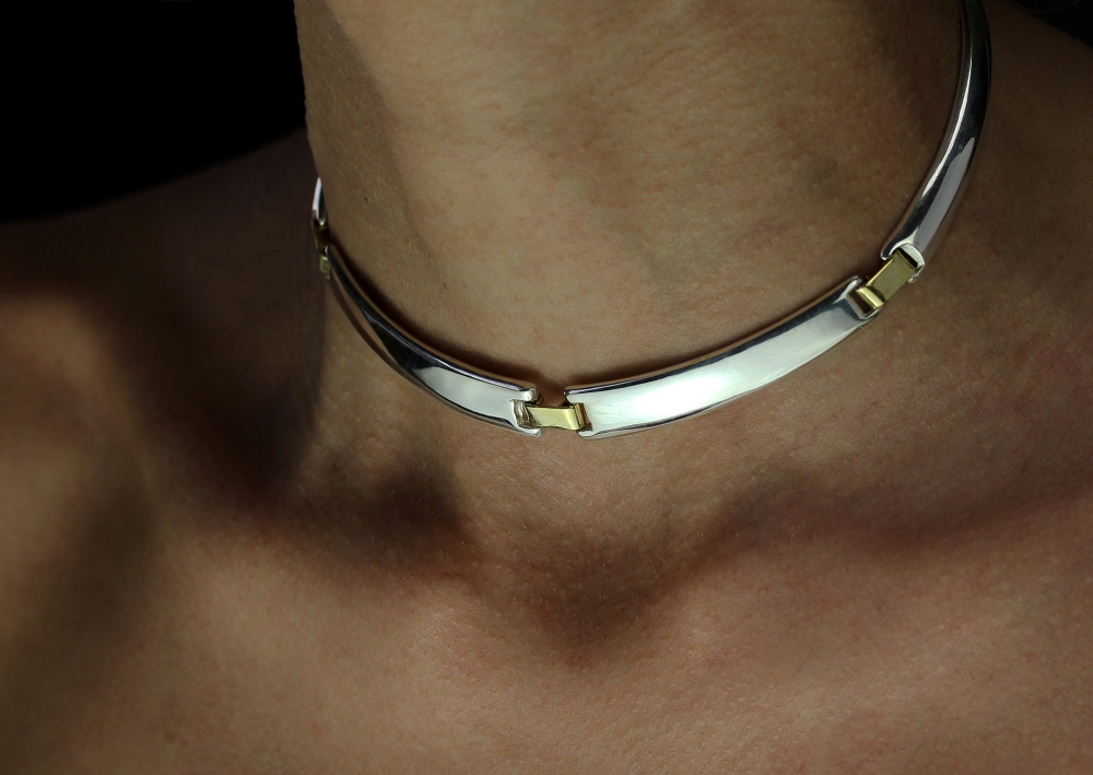 Skin Silver Choker Necklace